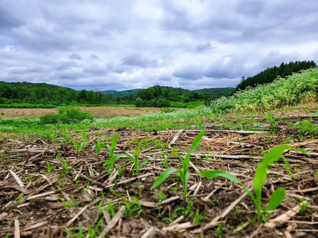 3851 Vt Route 12 Braintree VT 05060