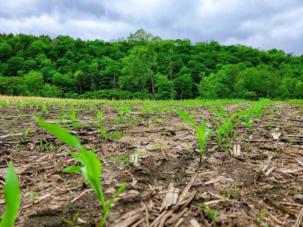 3851 Vt Route 12 Braintree VT 05060