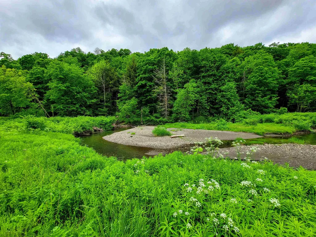 3851 Vt Route 12 Braintree VT 05060