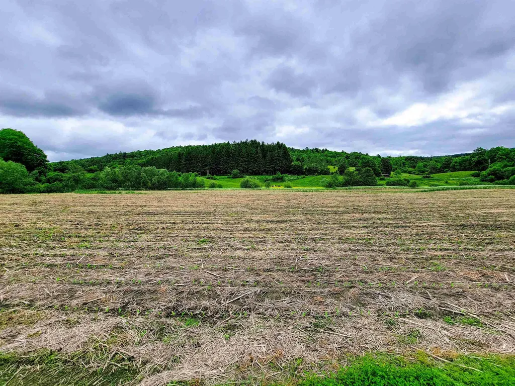 3851 Vt Route 12 Braintree VT 05060