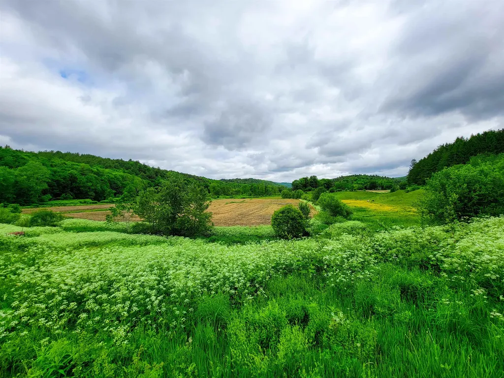 3851 Vt Route 12 Braintree VT 05060