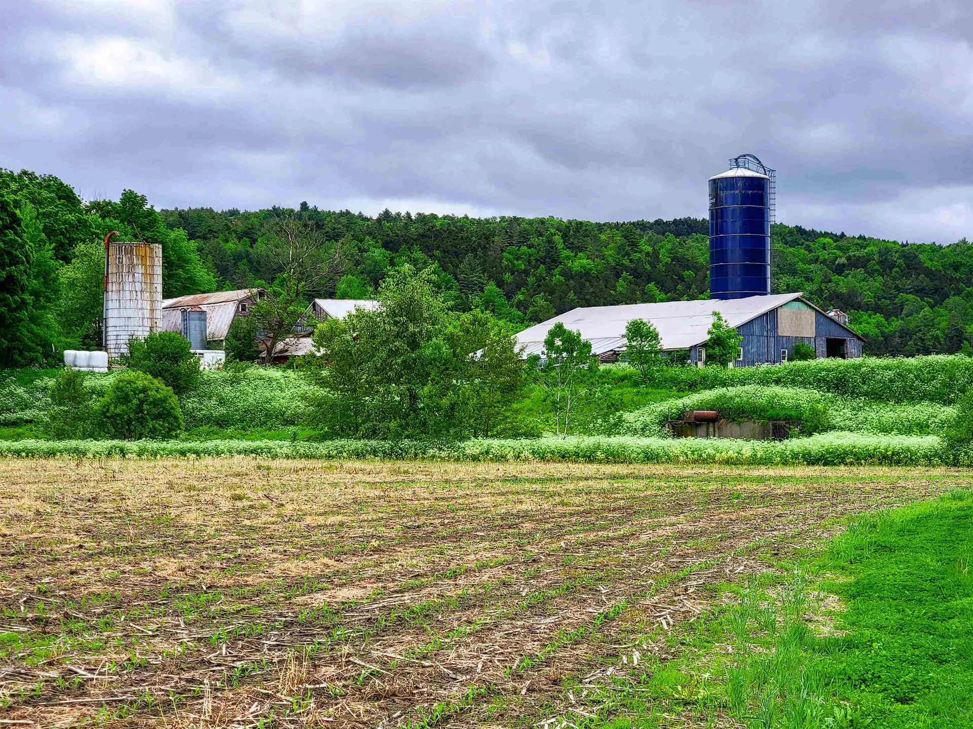 3851 Vt Route 12 Braintree VT 05060