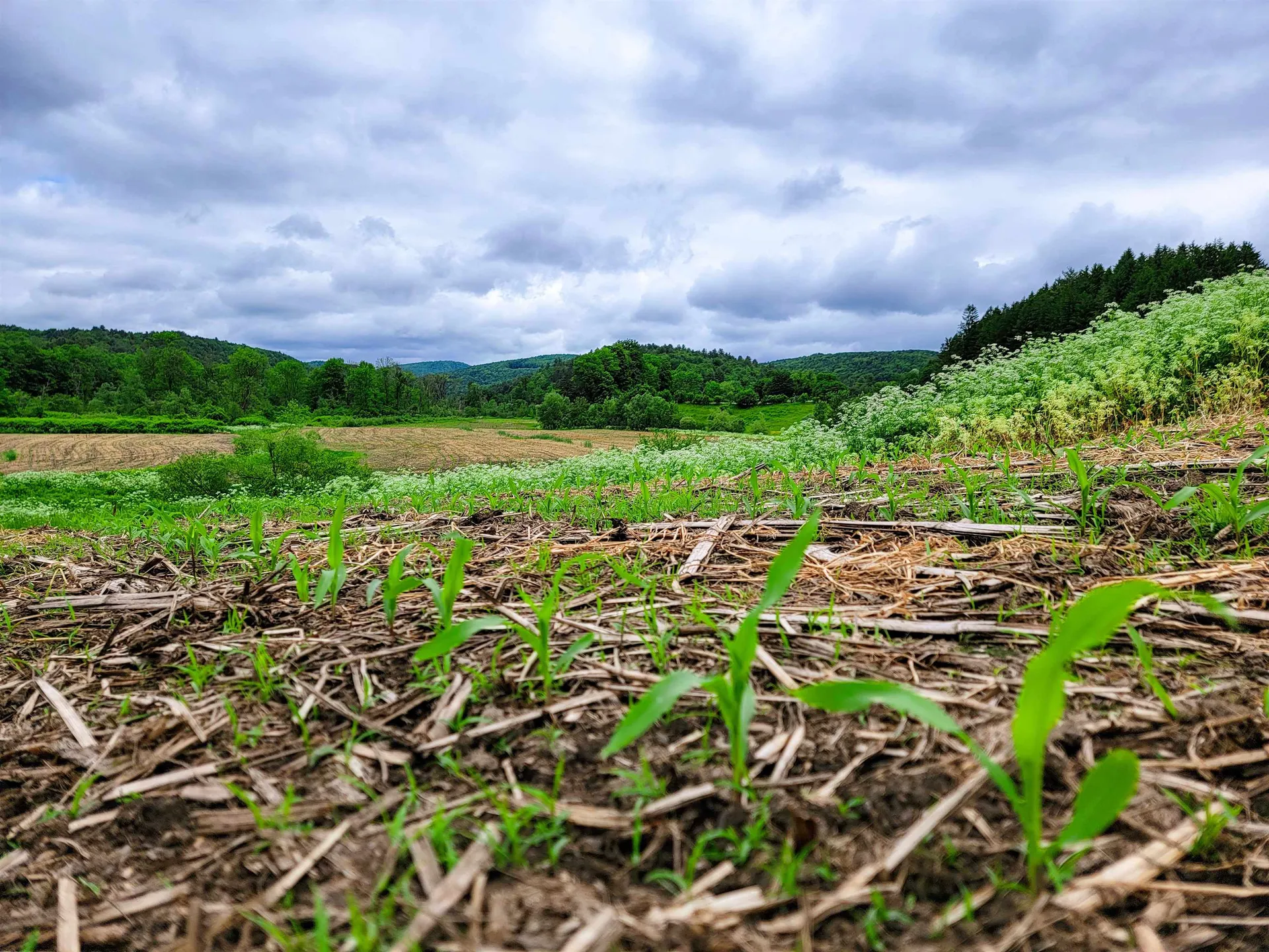 3851 Vt Route 12 Braintree VT 05060