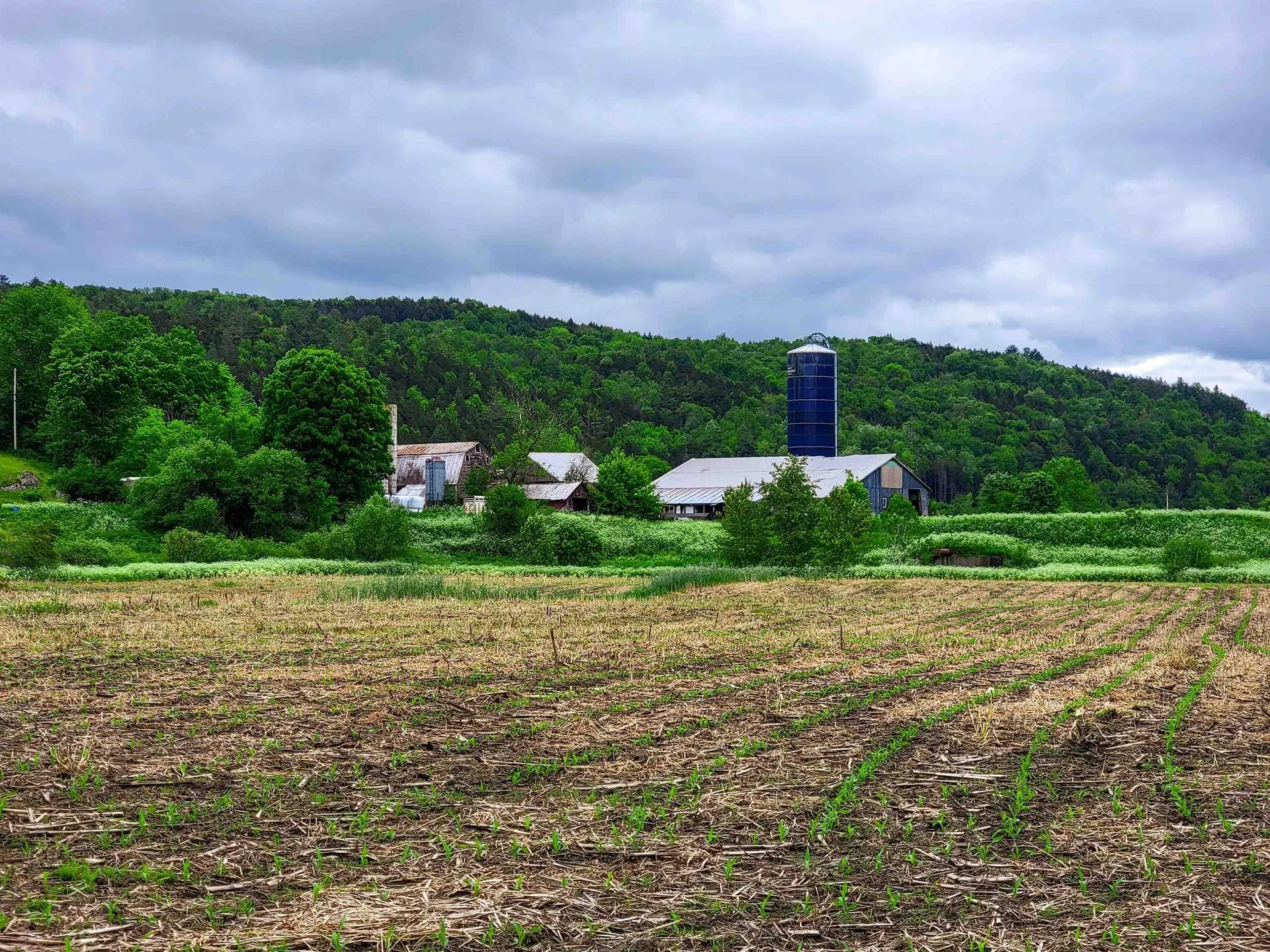 3851 Vt Route 12 Braintree VT 05060