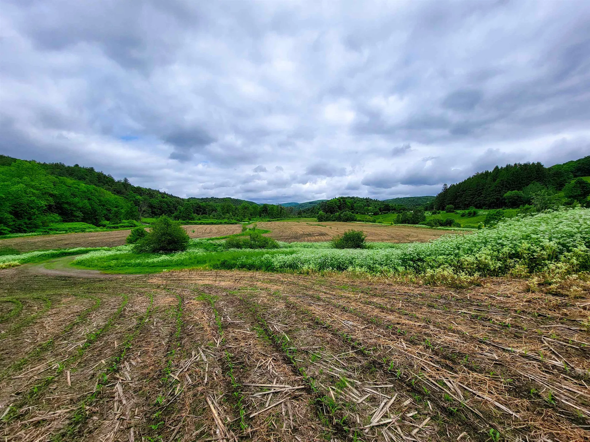 3851 Vt Route 12 Braintree VT 05060