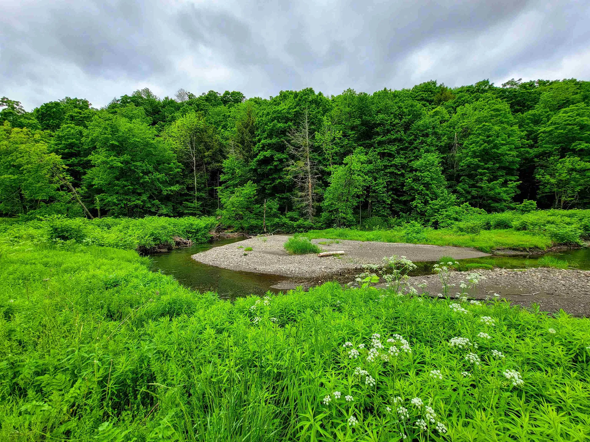 3851 Vt Route 12 Braintree VT 05060