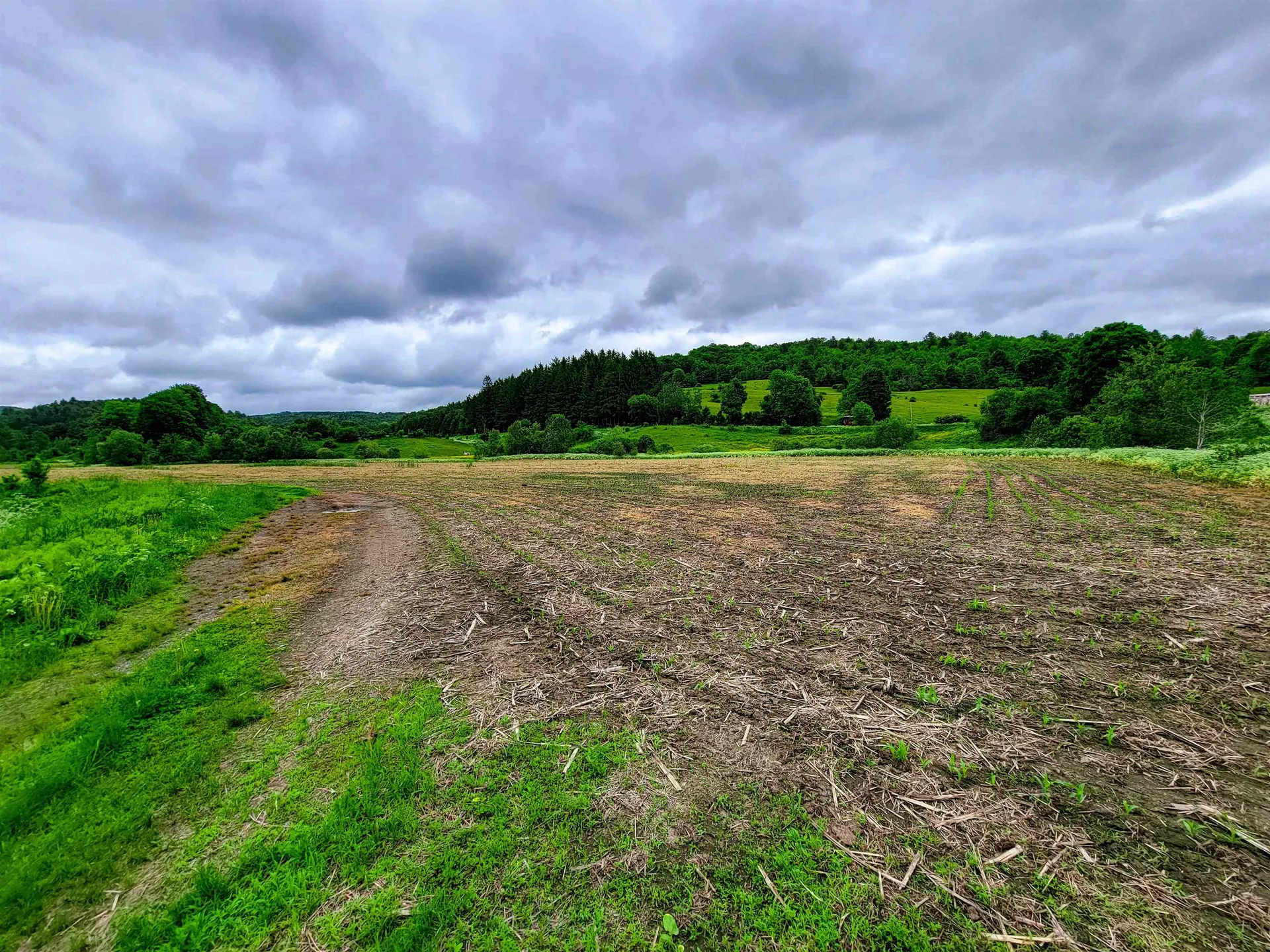 3851 Vt Route 12 Braintree VT 05060