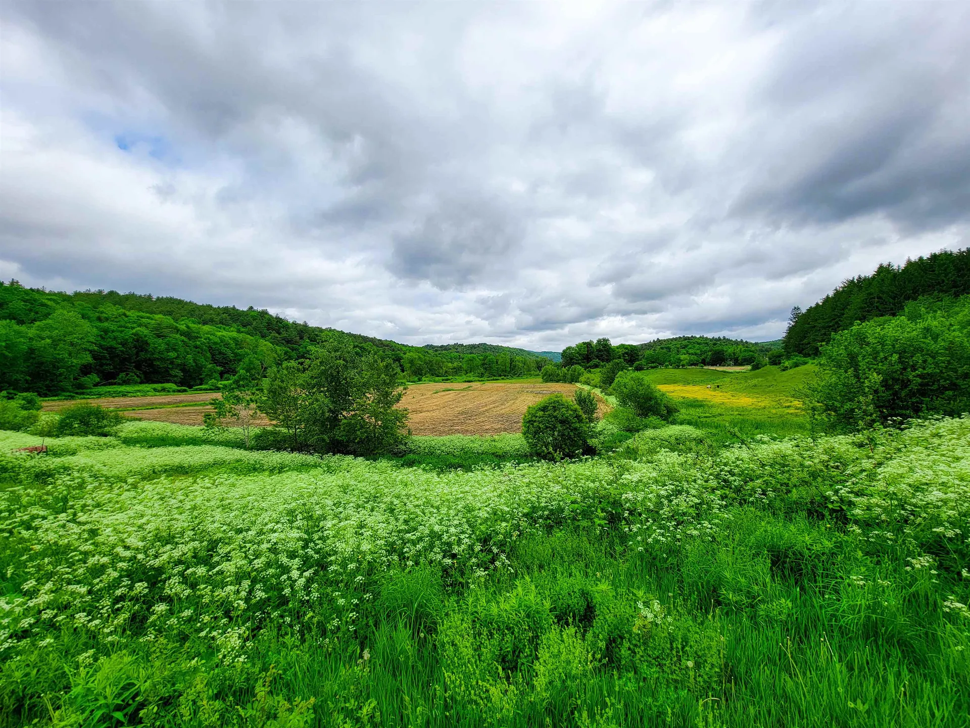 3851 Vt Route 12 Braintree VT 05060