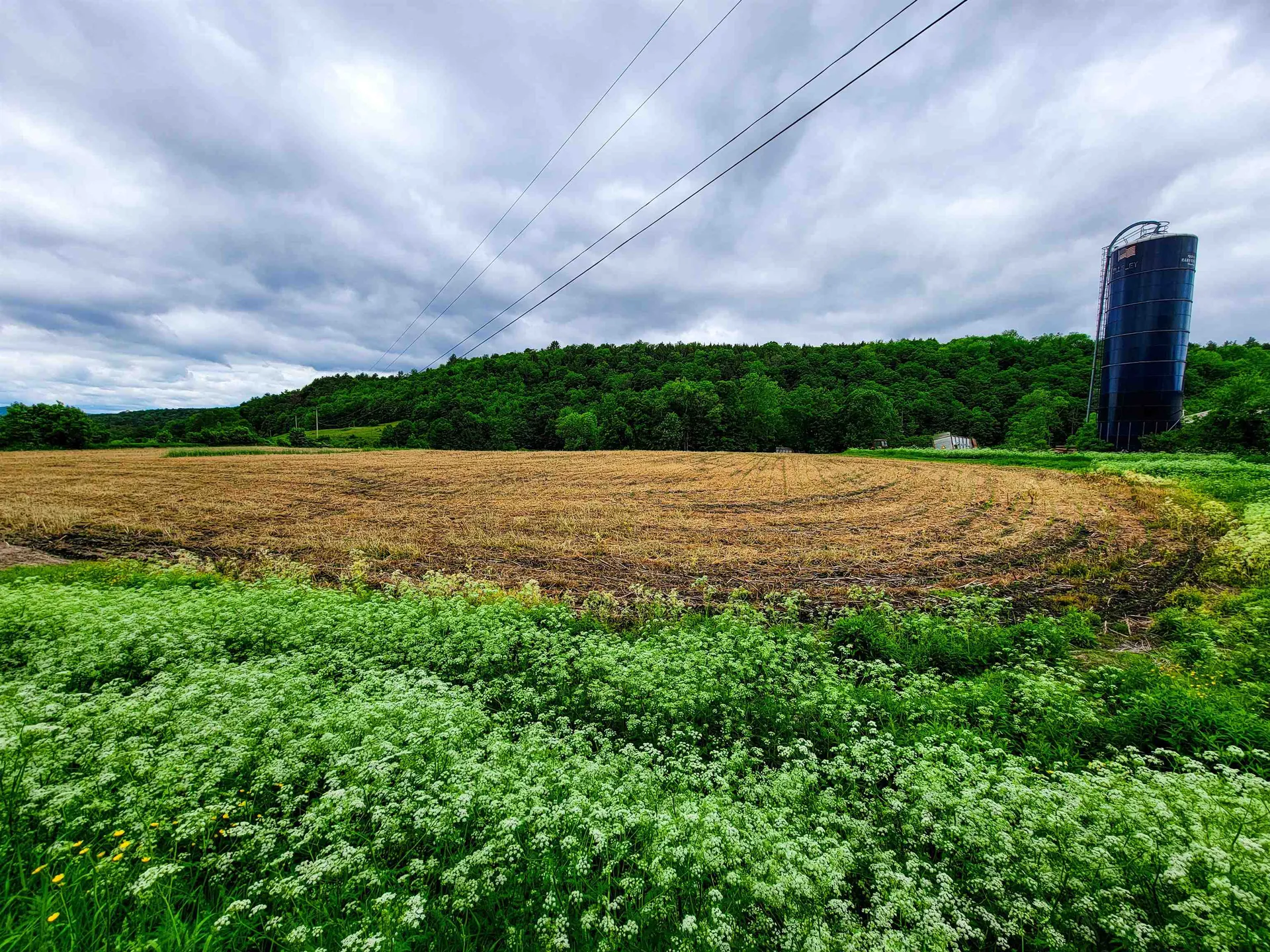 3851 Vt Route 12 Braintree VT 05060