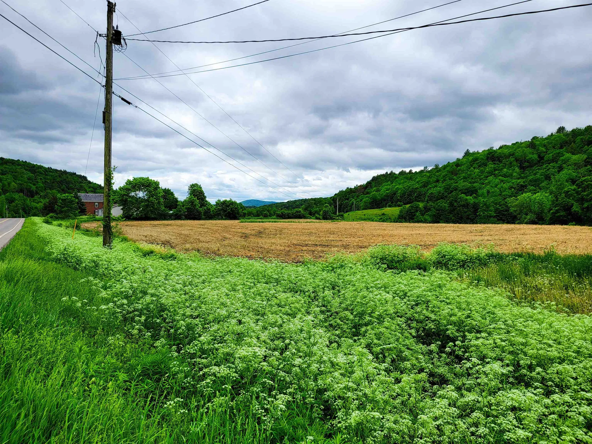 3851 Vt Route 12 Braintree VT 05060