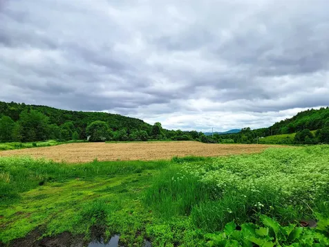 3851 Vt Route 12 Braintree VT 05060