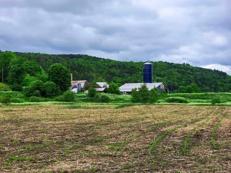 3851 Vt Route 12 Braintree VT 05060