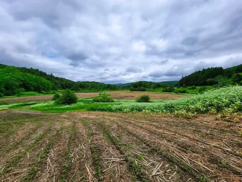 3851 Vt Route 12 Braintree VT 05060