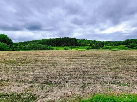 3851 Vt Route 12 Braintree VT 05060