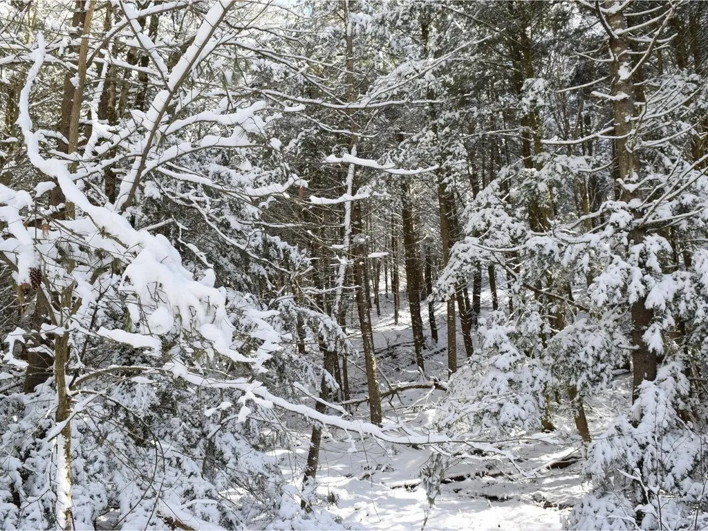 35 Broadstreet Road Fairfax VT 05454