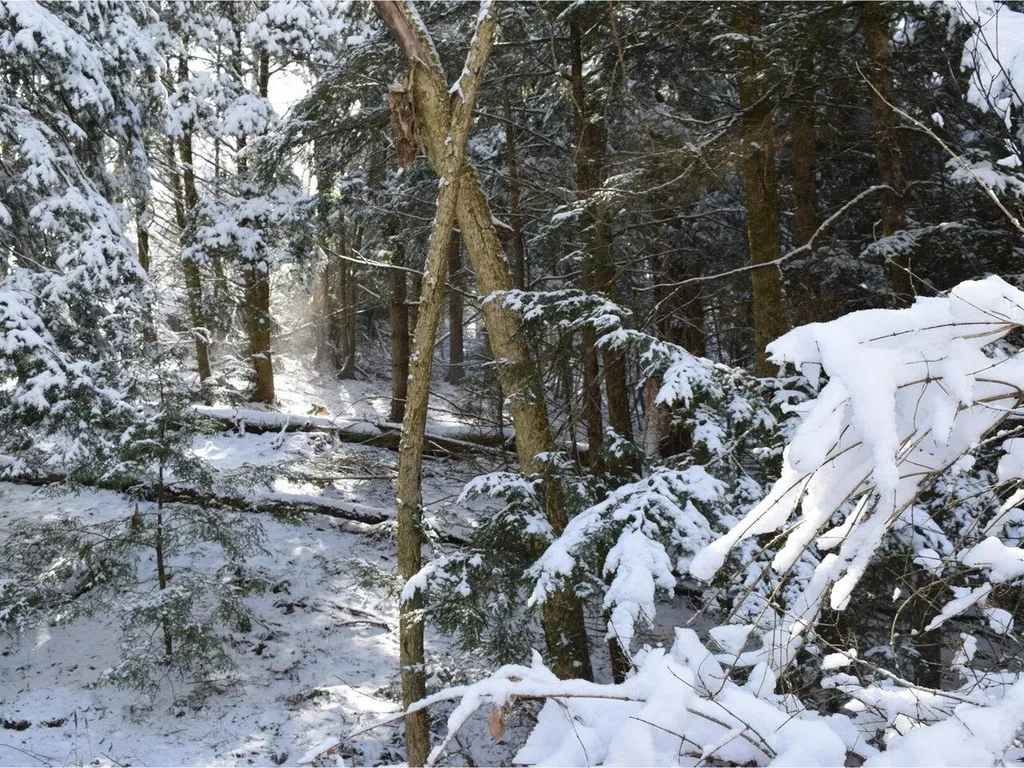 35 Broadstreet Road Fairfax VT 05454