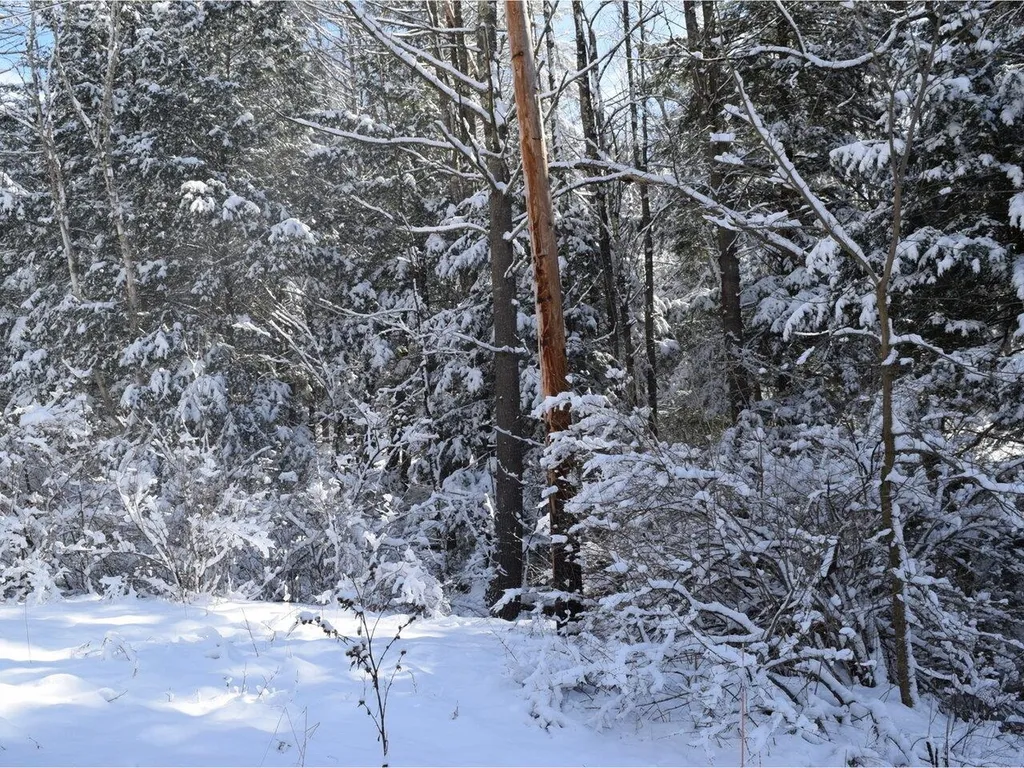 35 Broadstreet Road Fairfax VT 05454