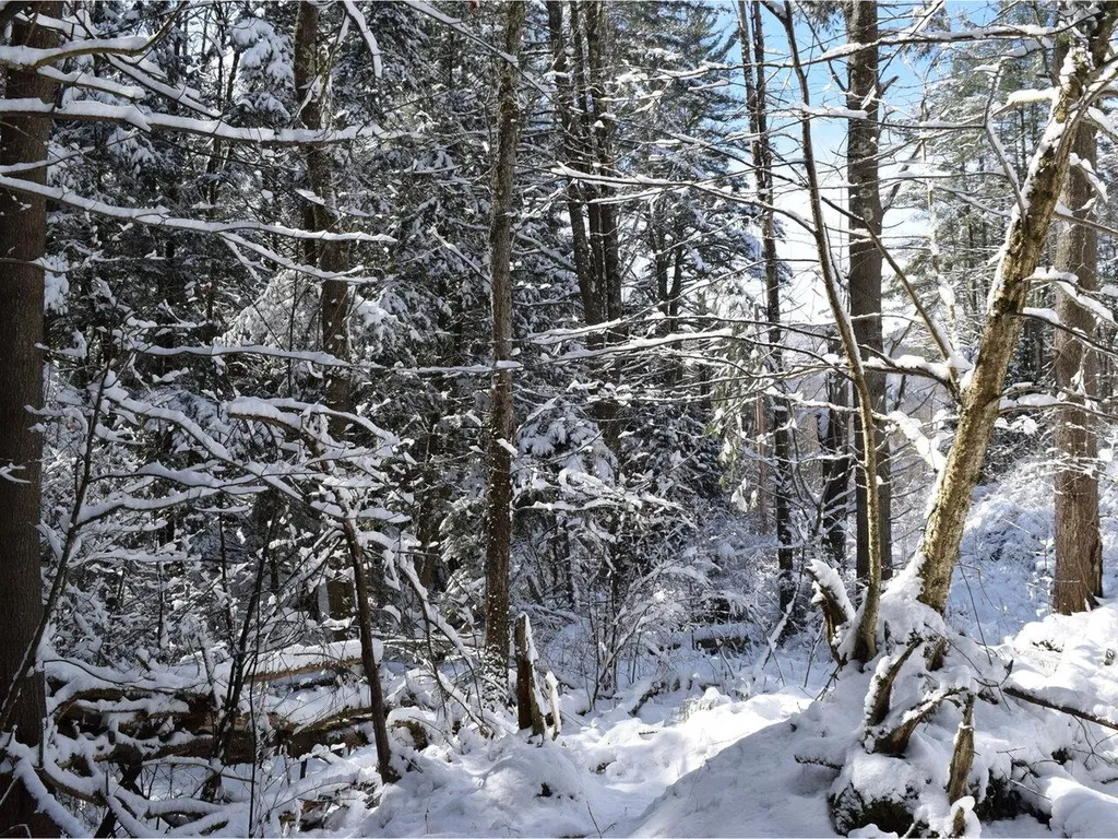 35 Broadstreet Road Fairfax VT 05454