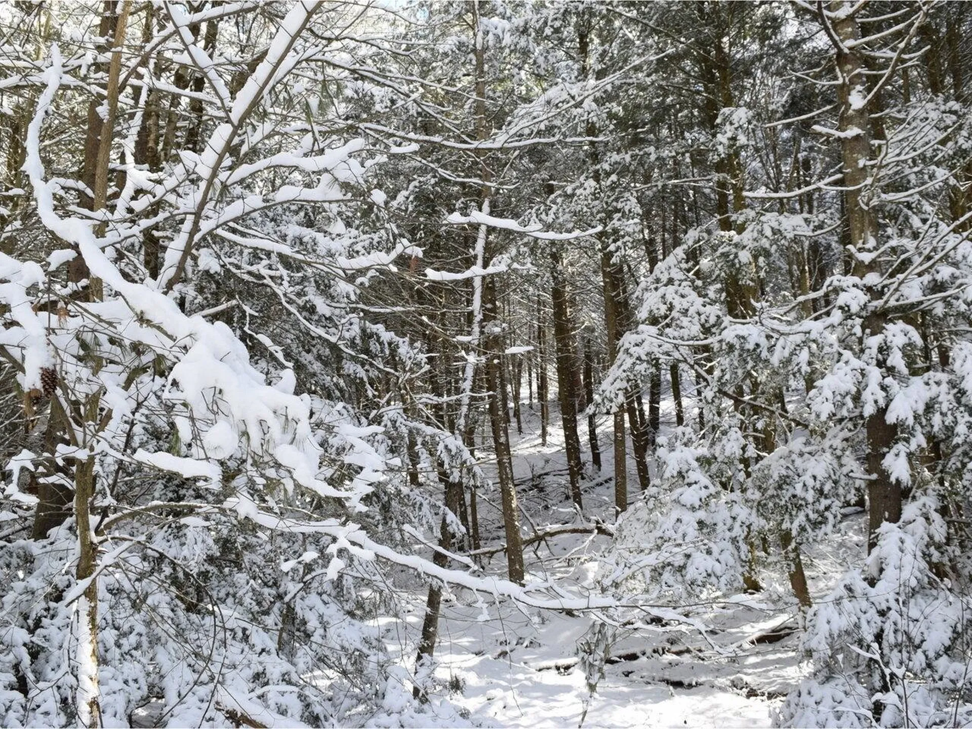 35 Broadstreet Road Fairfax VT 05454
