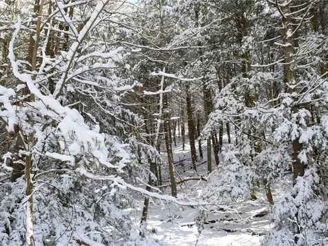 35 Broadstreet Road Fairfax VT 05454