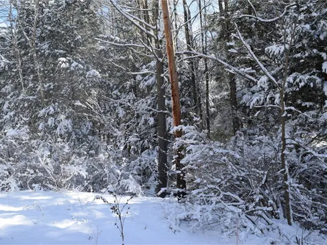 35 Broadstreet Road Fairfax VT 05454
