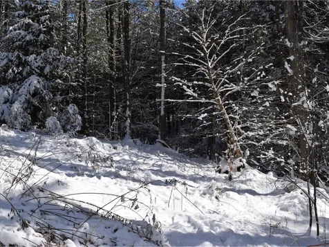 35 Broadstreet Road Fairfax VT 05454