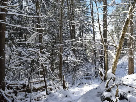 35 Broadstreet Road Fairfax VT 05454