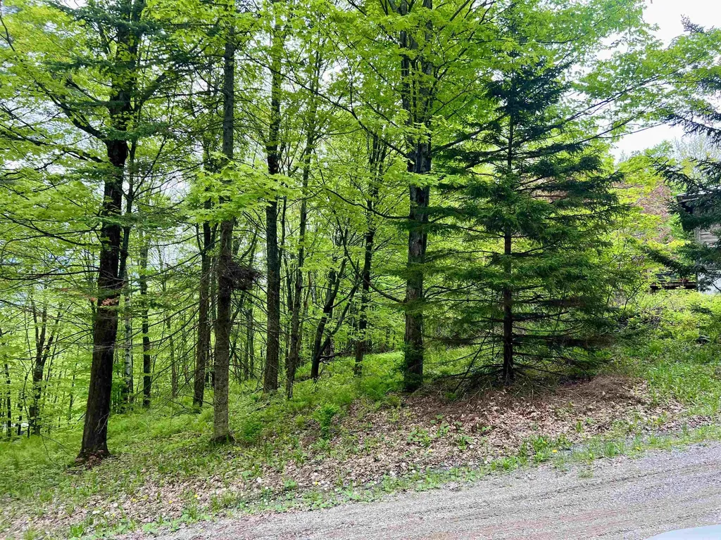 963 Colby Hill Road Lincoln VT 05443