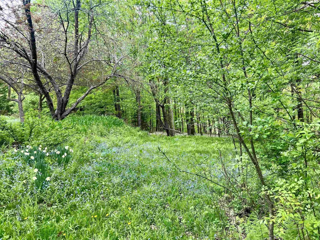 963 Colby Hill Road Lincoln VT 05443