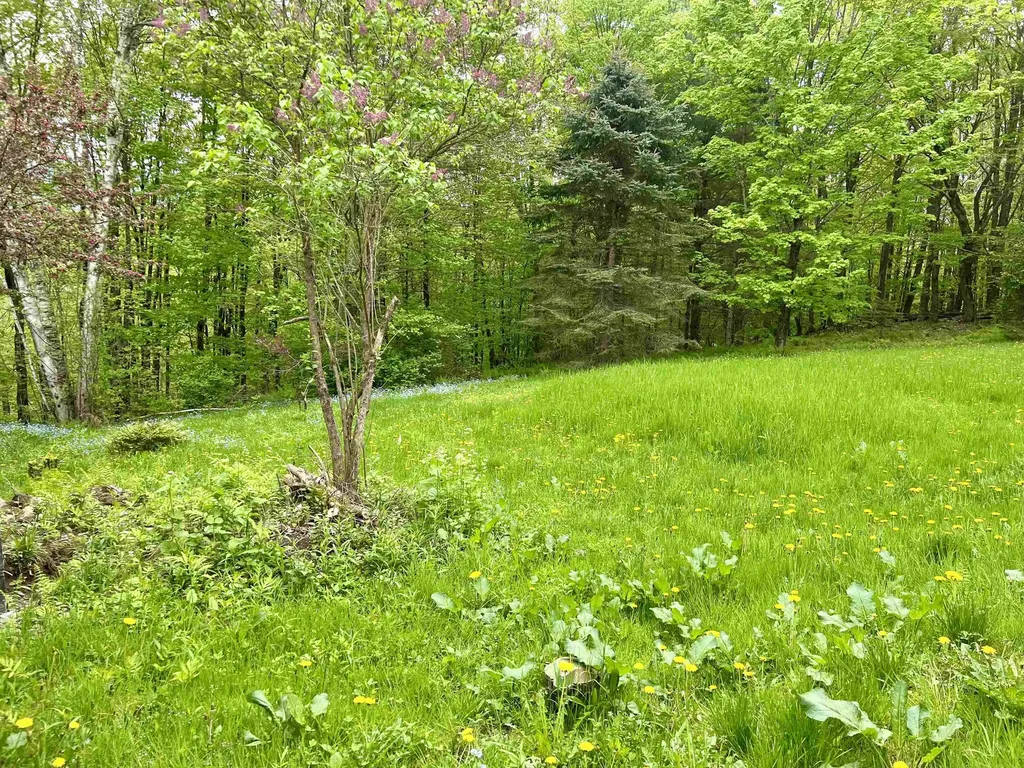 963 Colby Hill Road Lincoln VT 05443