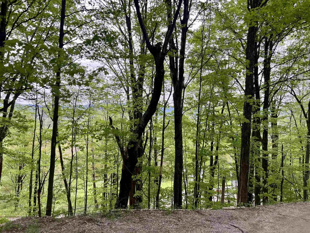 963 Colby Hill Road Lincoln VT 05443