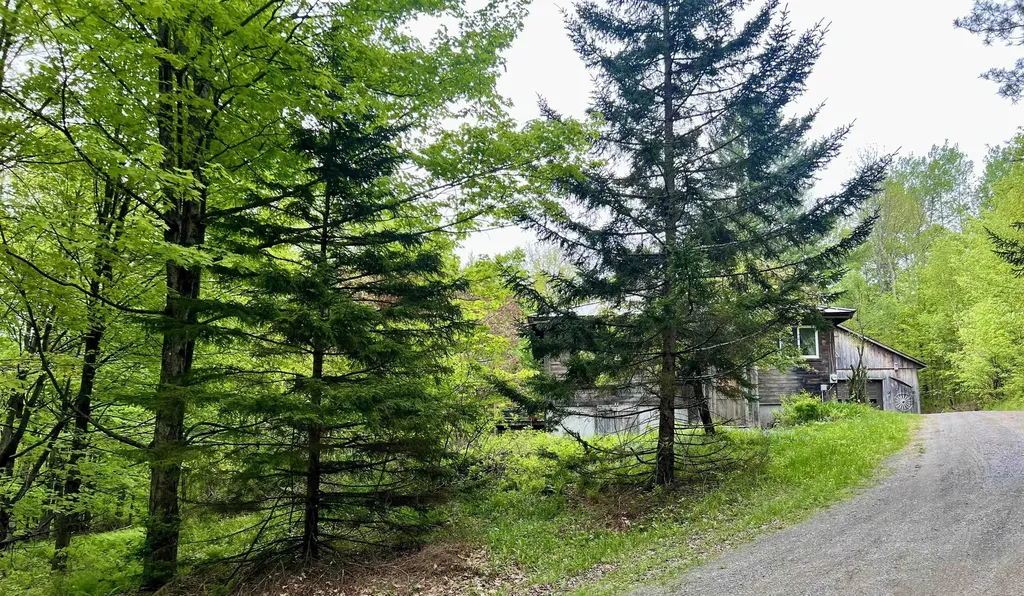 963 Colby Hill Road Lincoln VT 05443