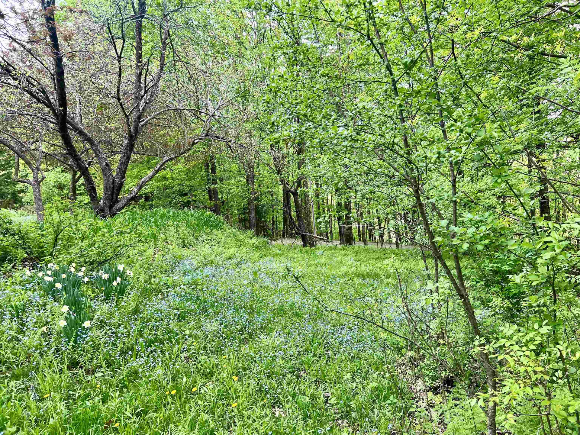 963 Colby Hill Road Lincoln VT 05443