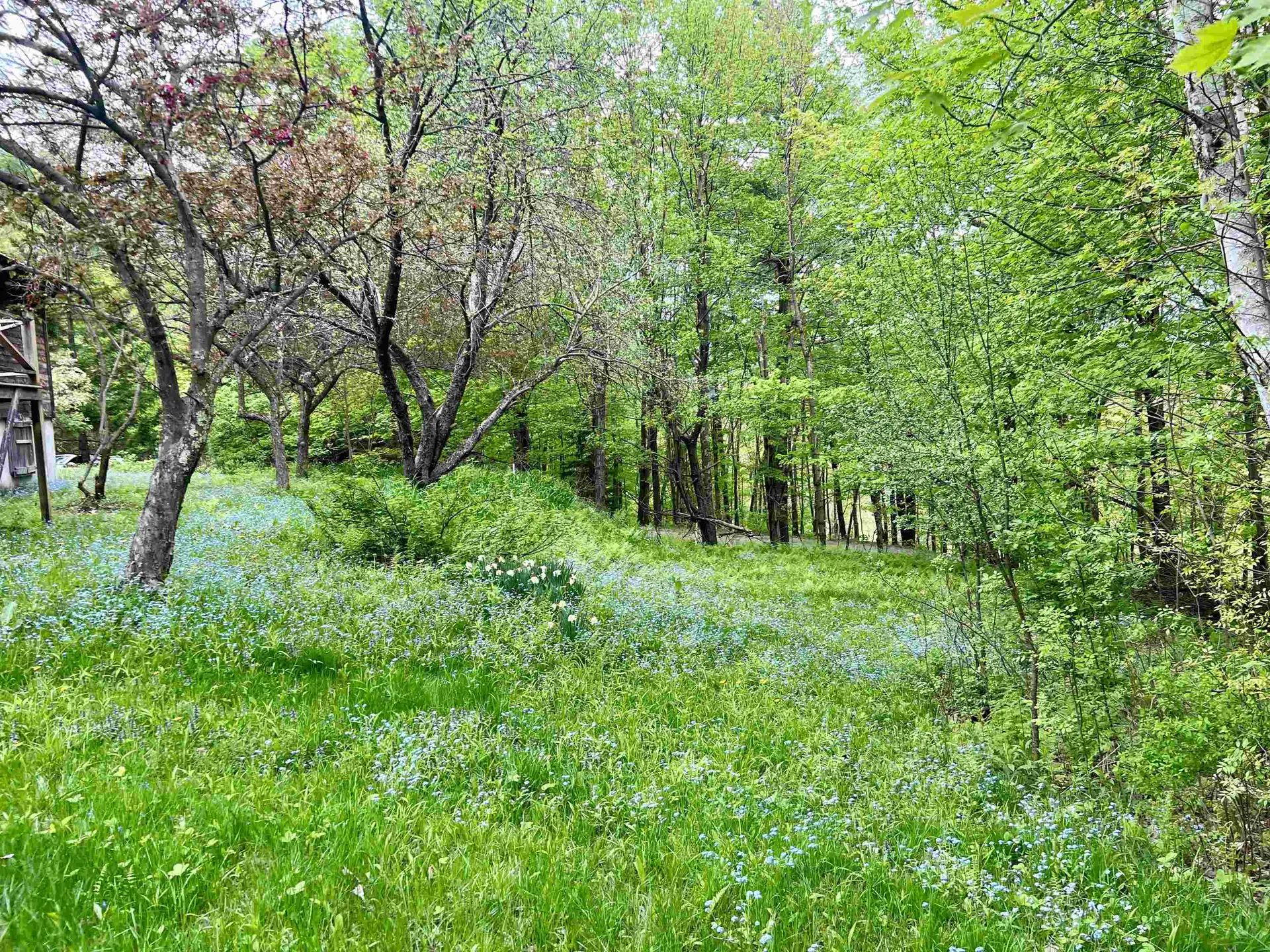 963 Colby Hill Road Lincoln VT 05443