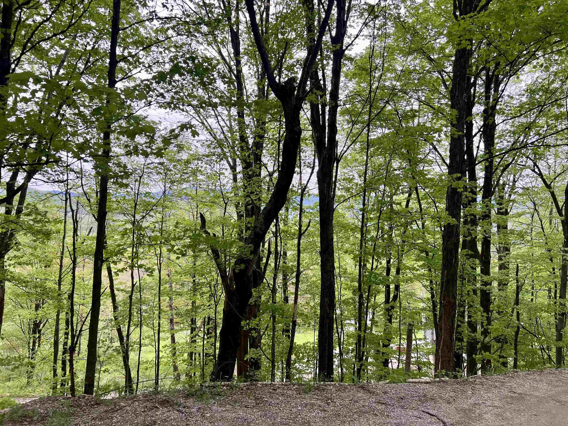 963 Colby Hill Road Lincoln VT 05443