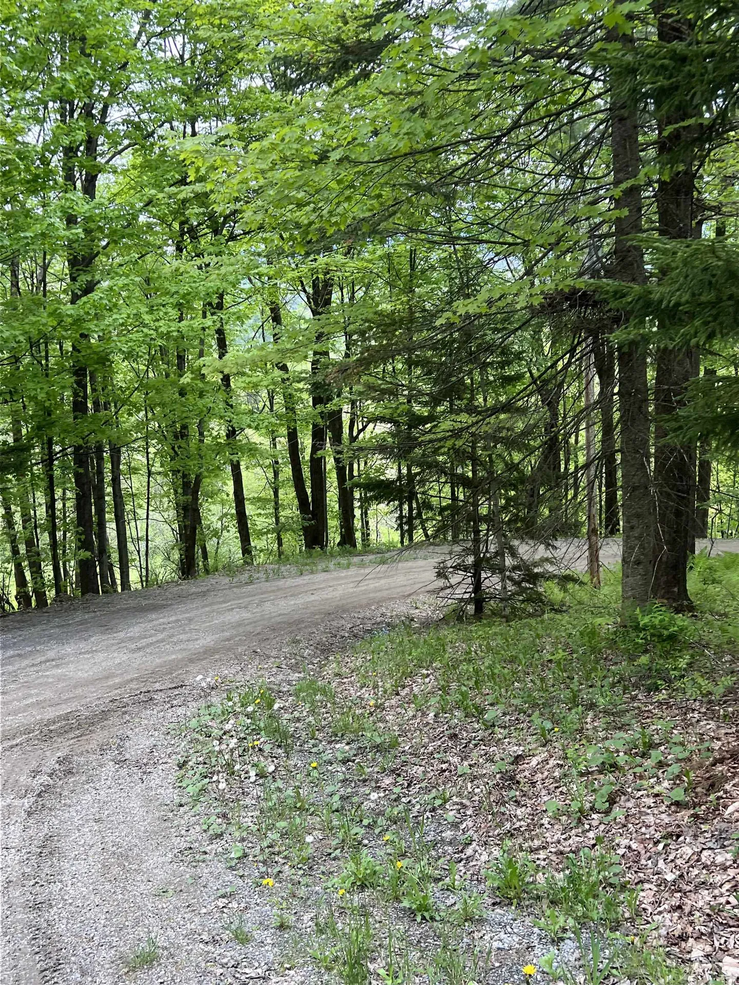 963 Colby Hill Road Lincoln VT 05443