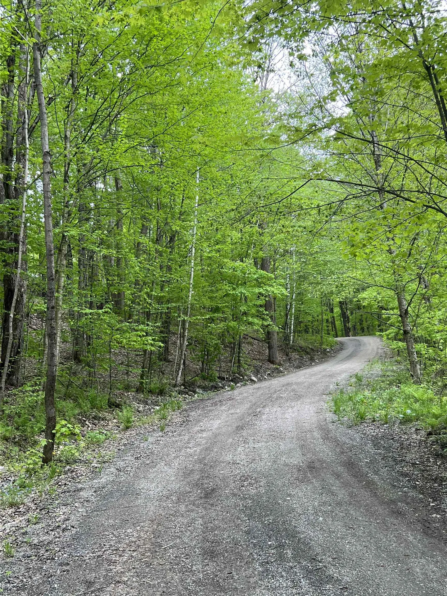 963 Colby Hill Road Lincoln VT 05443