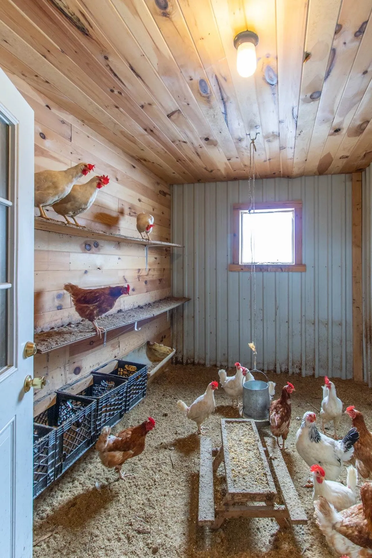 656 Leo's Lane Norton VT 05907