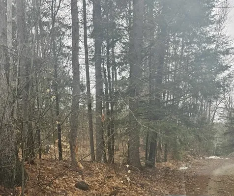 Lot 9 Robie Road Salisbury NH 03268