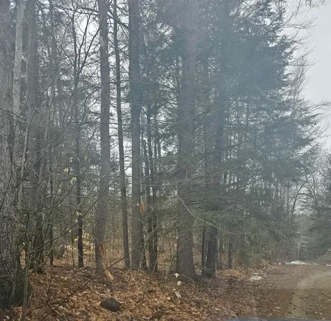 Lot 9 Robie Road Salisbury NH 03268