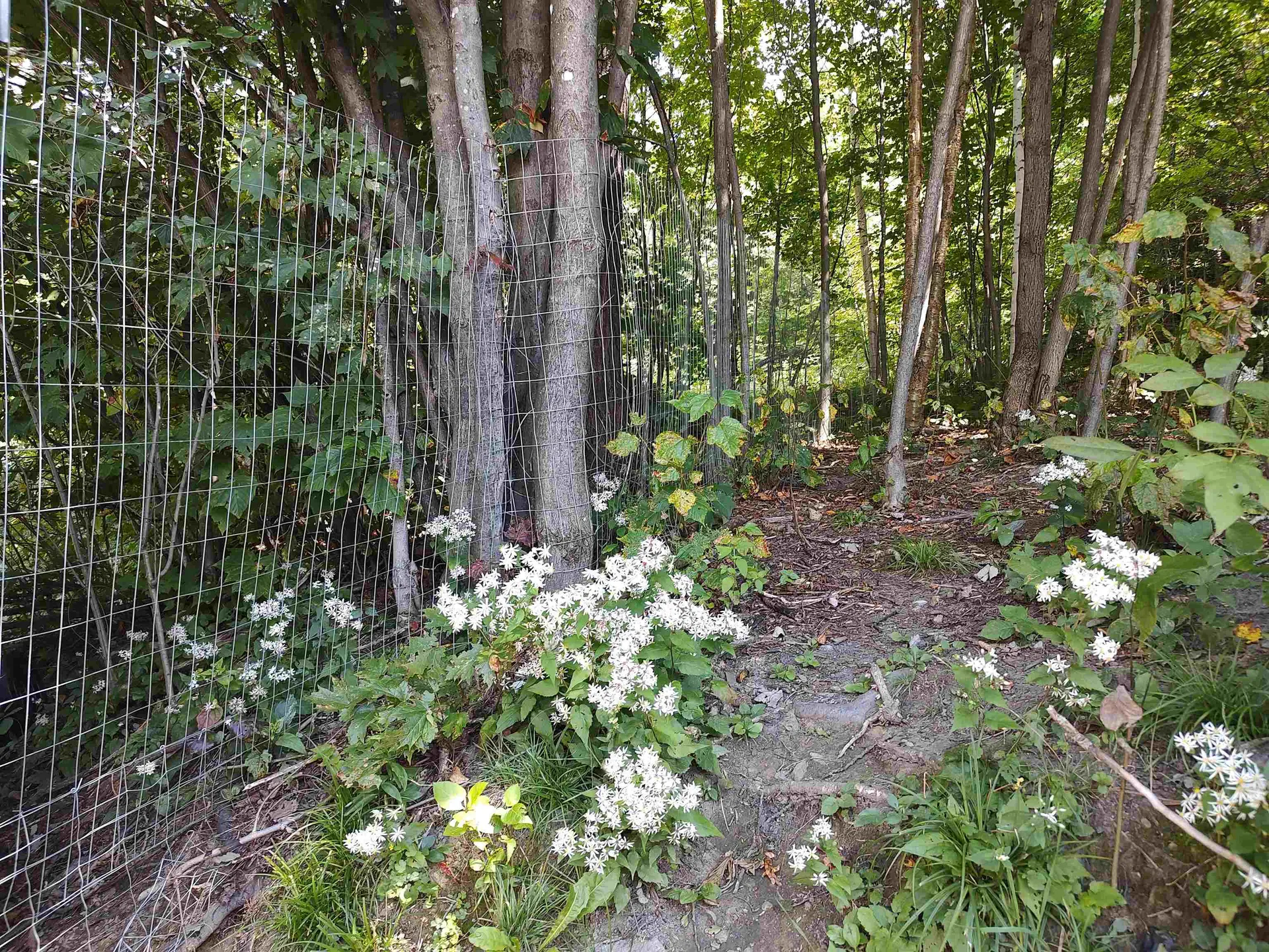 4898 Camp Brook Road Bethel VT 05032