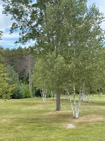 0 Warner Road Warner NH 03278