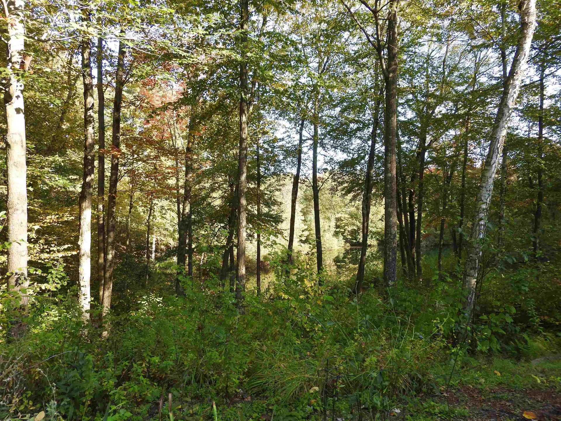 71 Little Pond Road Concord NH 03301