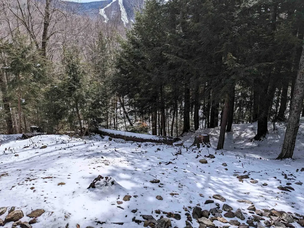 73 Clearbrook Road Lincoln NH 03251
