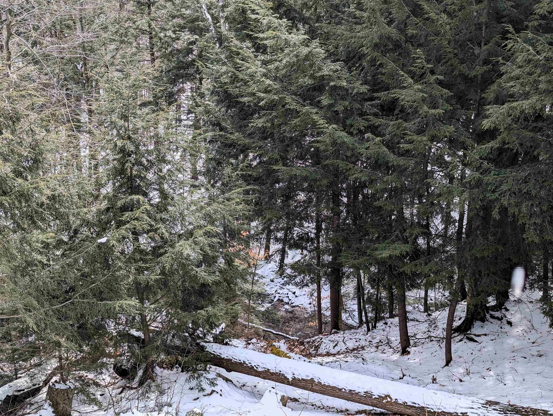 73 Clearbrook Road Lincoln NH 03251