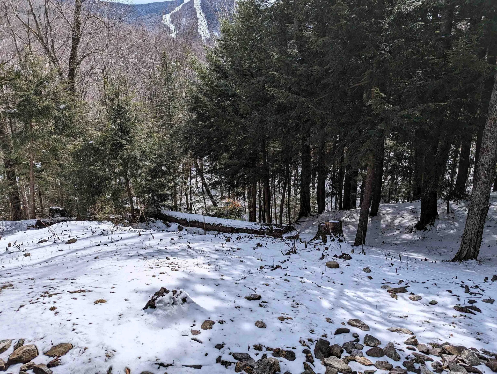 73 Clearbrook Road Lincoln NH 03251