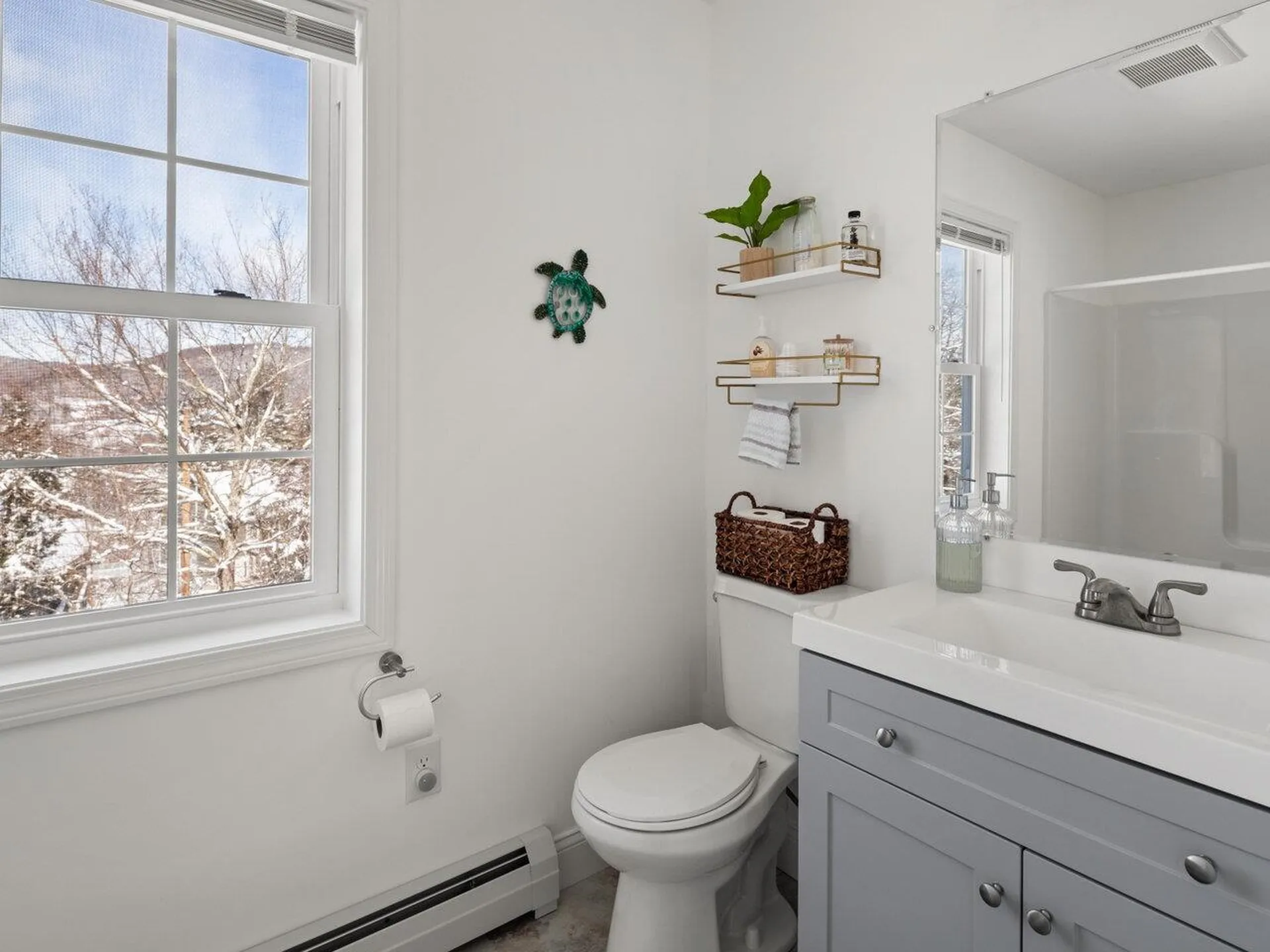 20 Jackson Heights Cambridge VT 05464