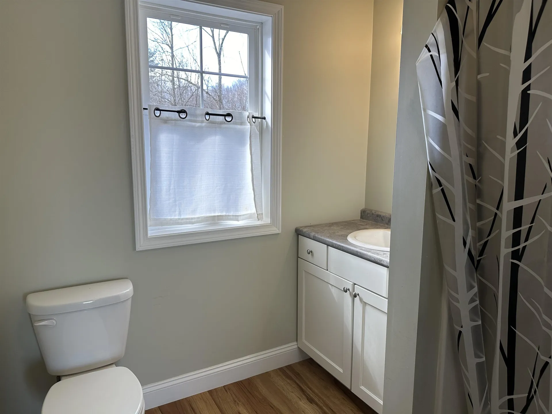 61 Oliver Howe Court Shoreham VT 05770