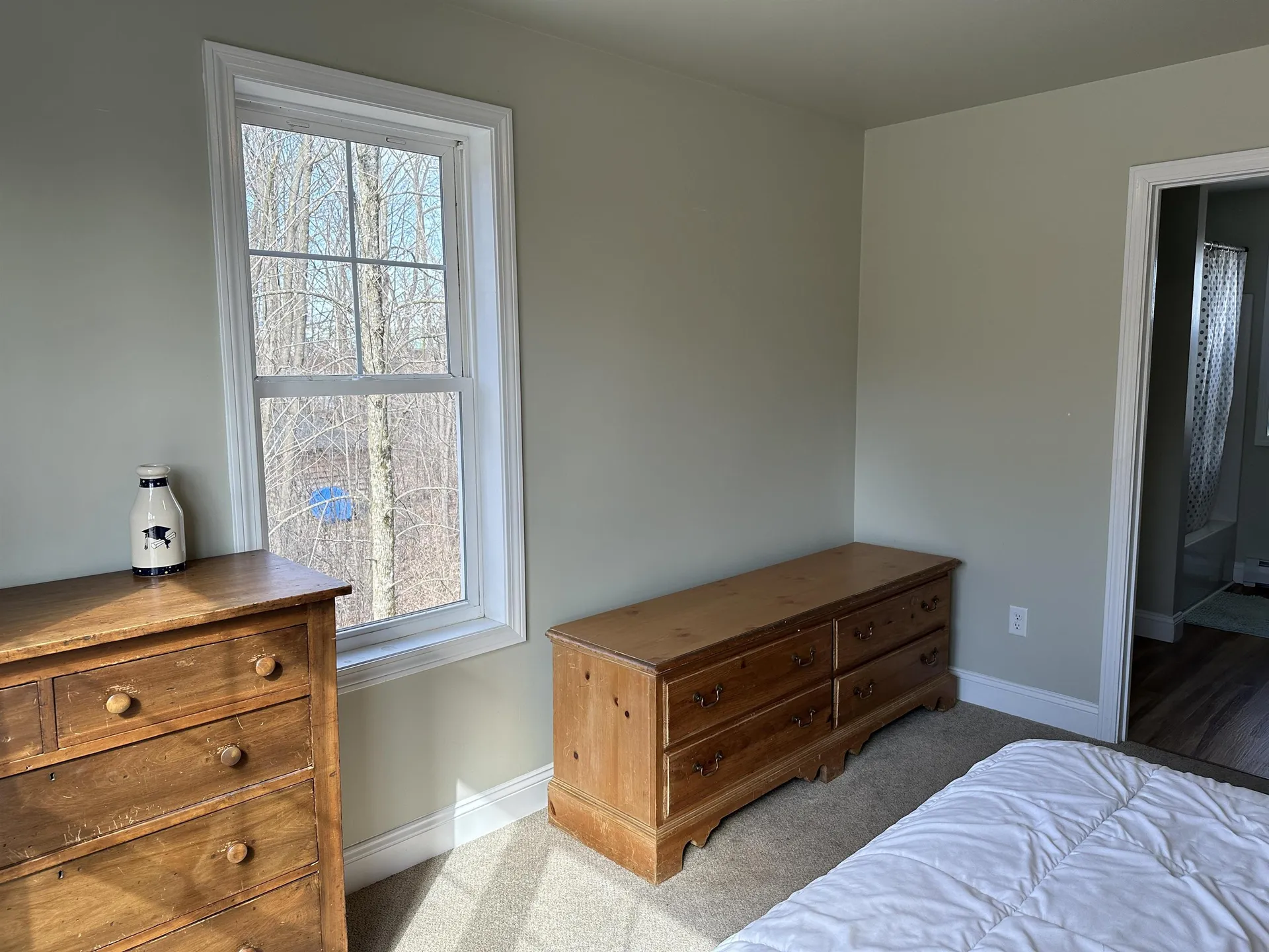 61 Oliver Howe Court Shoreham VT 05770
