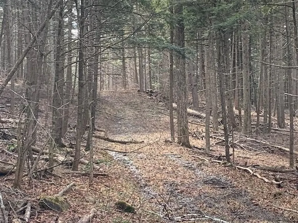 0 Lovejoy Road Royalton VT 05068